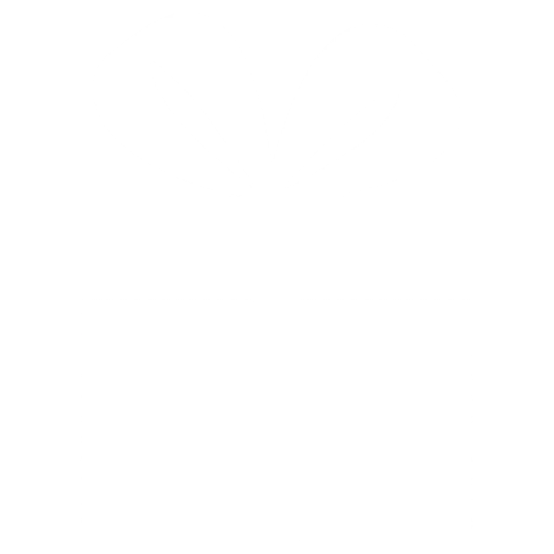 BONUS MAXWIN288